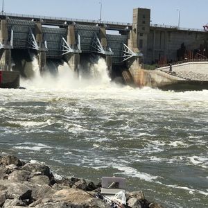 Meet your Posher, Joni